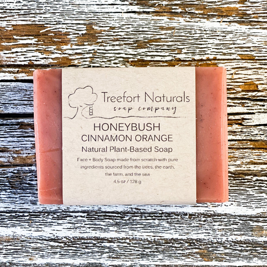 Ten Bar Soap Set - Treefort Naturals